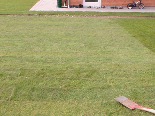 20-04-2004 12-32-34.JPG
